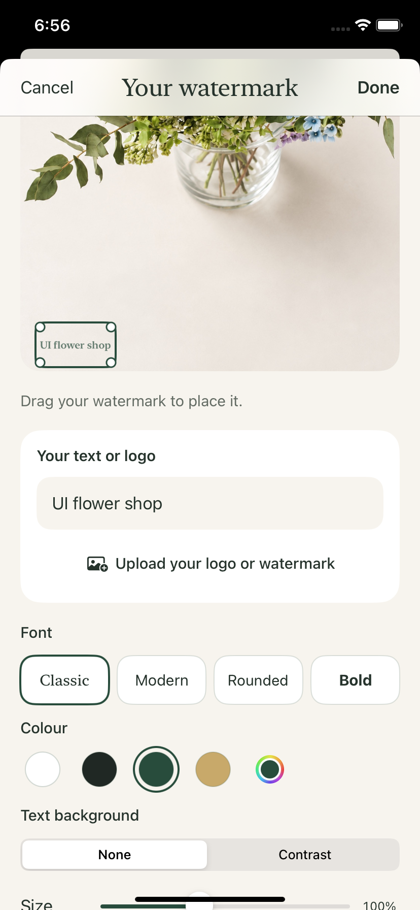 Personnaliser — Votre texte, logo et style de filigrane.